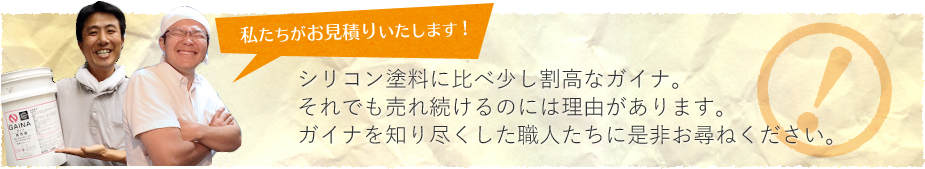 シリコン塗料にべ割高なガイナ、それでも売れ続けるのには理由があります。